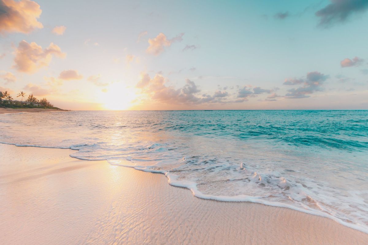 Vacation or to not vacation: a founder’s answer